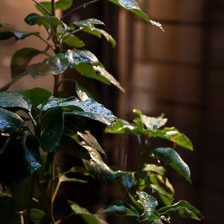 Kanazawa Machiya Kenroku Eksteriør billede